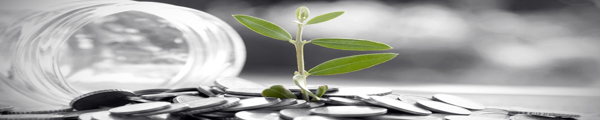 No hidden fees + No deception = Peace of Mind