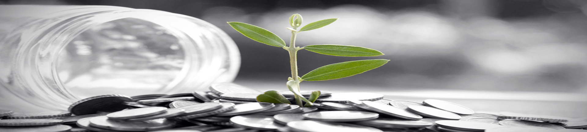 No hidden fees + No deception = Peace of Mind